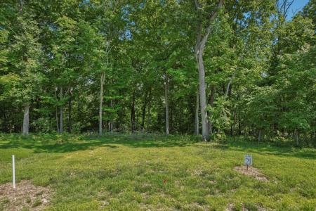 TBD Forest Ridge Lane, Litchfield, 伊利諾州 62056, 美國