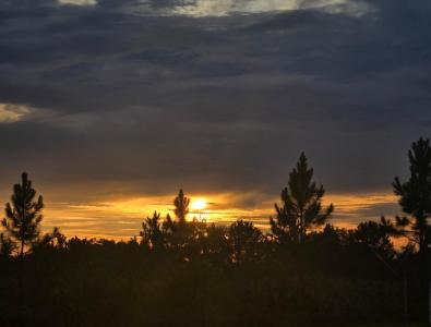 18133 NW 300th Street, Okeechobee, Florida 34972