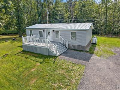 193 Mud Lake Road, Mexico, NY 13114, USA