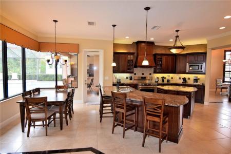 20411 Lace Cascade Road, Land O Lakes, Florida 34637, USA