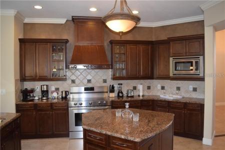 20411 Lace Cascade Road, Land O Lakes, Florida 34637