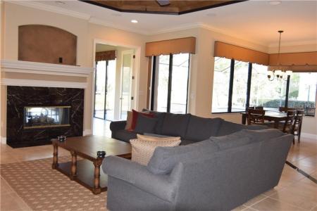 20411 Lace Cascade Road, Land O Lakes, Florida 34637