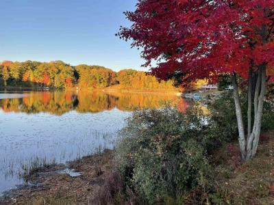 2350 Deer Lake, Harrison, Michigan 48625, USA