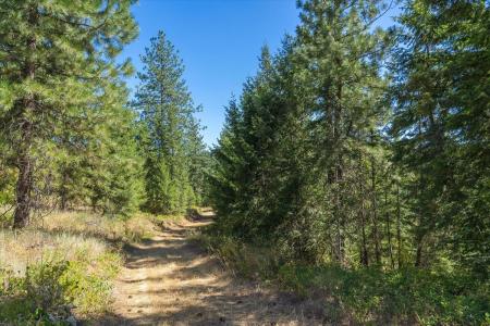 21620 E Lakeview Rd, Otis Orchards, Washington 99027, USA