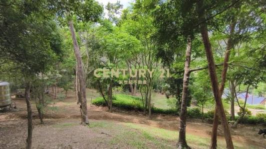 平興村, Zaoqiao Township, Miaoli County 361, Tajwan