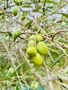 SP104, Modica, Sicilia 97015, Ý