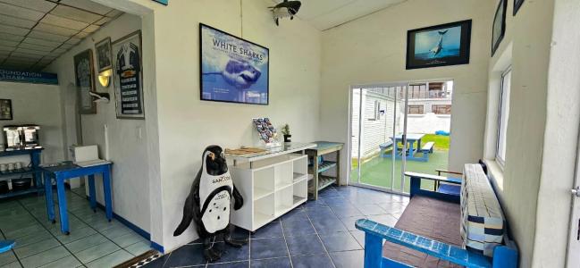 Gansbaai, Western Cape, Nam Mỹ