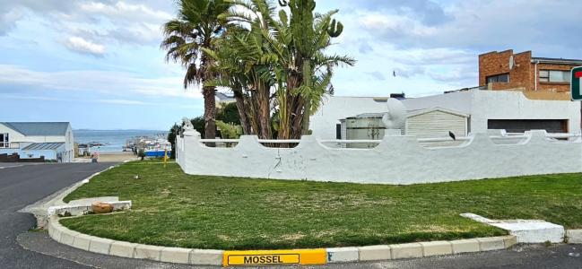 Gansbaai, Western Cape, Nam Mỹ