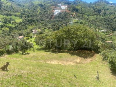 Guarne, Antioquia 53817, Colombia