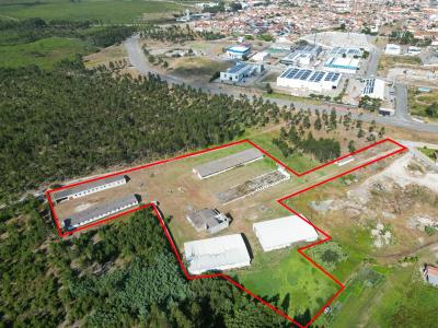 Marinha Grande, Leiria 2430-592, Portugal