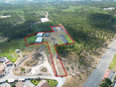 Marinha Grande, Leiria 2430-592, Portugal