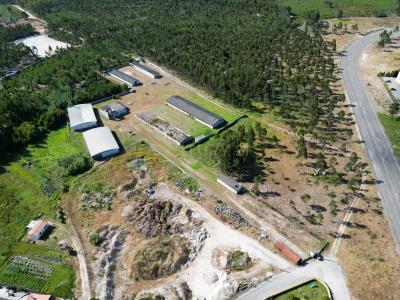 Marinha Grande, Leiria 2430-592, Portugal