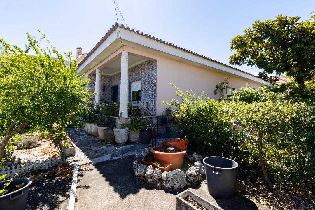 Alcanena, Santarem 2380-562, Portugal