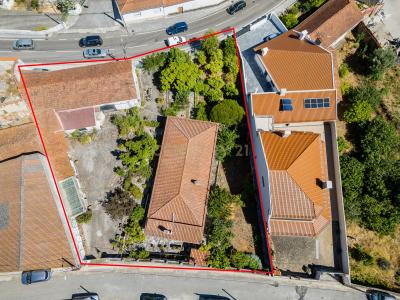 Alcanena, Santarem 2380-562, Portugal