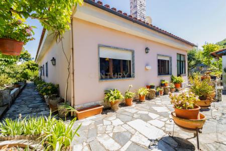 Alcanena, Santarem 2380-562, Portugal