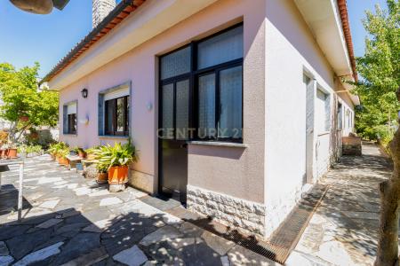 Alcanena, Santarem 2380-562, Portugal