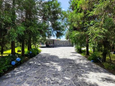 Ribeira Grande, סאו מיגל 9600-172, פורטוגל
