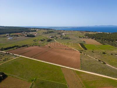 Formentera, Illes Balears 07872, Espagne