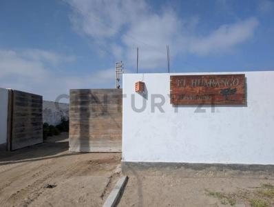 Av. Principal Mz. LT. A-2-3 Lotizacion Santo Domingo , Pisco, Ica 00001, Peru