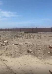 Sunampe, Km 191 de la Panamericana Sur , Chincha, Ica 00001, 秘鲁