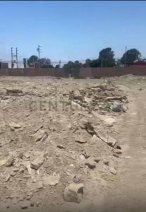 Sunampe, Km 191 de la Panamericana Sur , Chincha, Ica 00001, 秘鲁