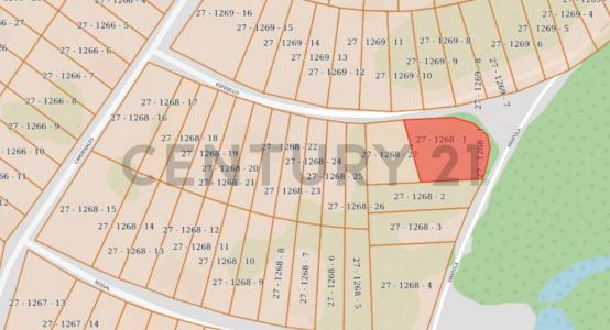 Espinillo, surubi'i , Mariano Roque Alonso, 中央 00001, 巴拉圭