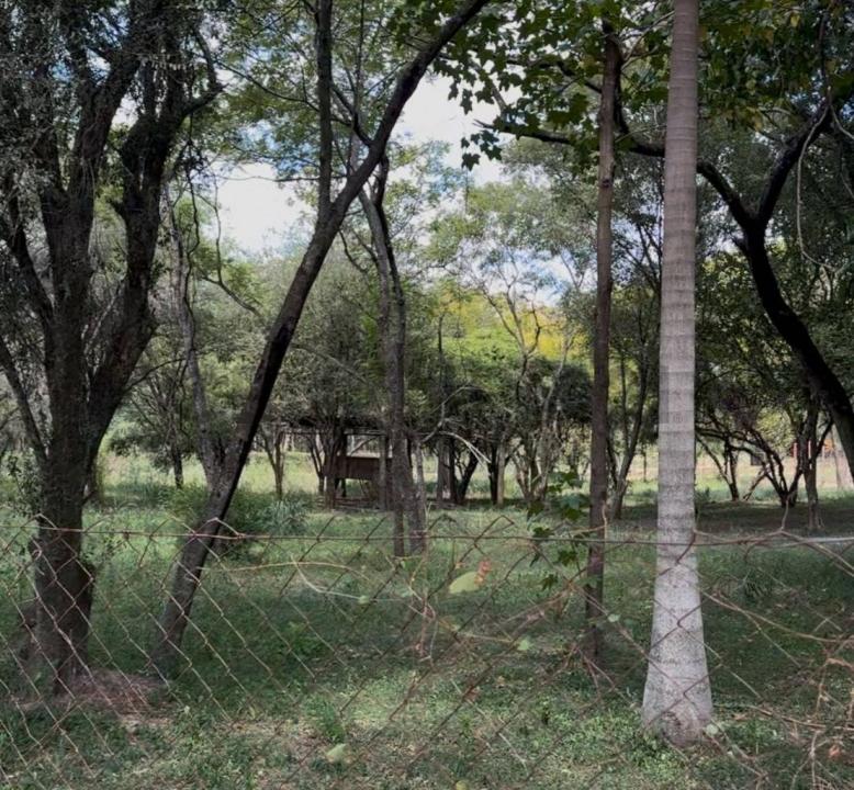 Espinillo, surubi'i , Las Mercedes, Asunción 00001, 巴拉圭