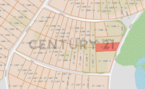 Espinillo, surubi'i , Las Mercedes, Asunción 00001, 巴拉圭