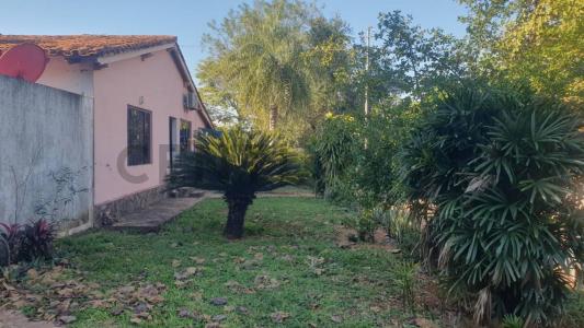 san luis 121, Villa Elisa, Центральное 2370, Парагвай