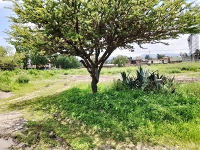 Coyotepec, 墨西哥州 54667, 墨西哥