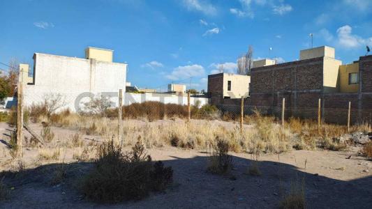 LAS MORERAS S/N, Las Heras, Mendoza 5539, Argentina