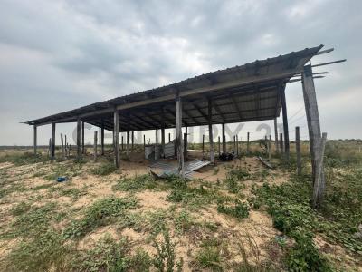 Urubo, Santa Cruz 00001, Bolivia