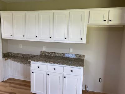 6585 Good Hope Circle, Naylor, Georgia 31641, Estados Unidos