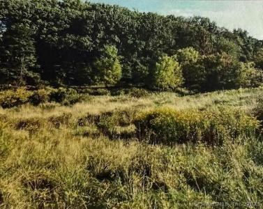 230 Benham Avenue, Wallingford, コネティカット 06492, アメリカ合衆国
