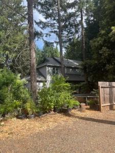 455 Addison Lane, Cave Junction, Oregon 97523, Stati Uniti