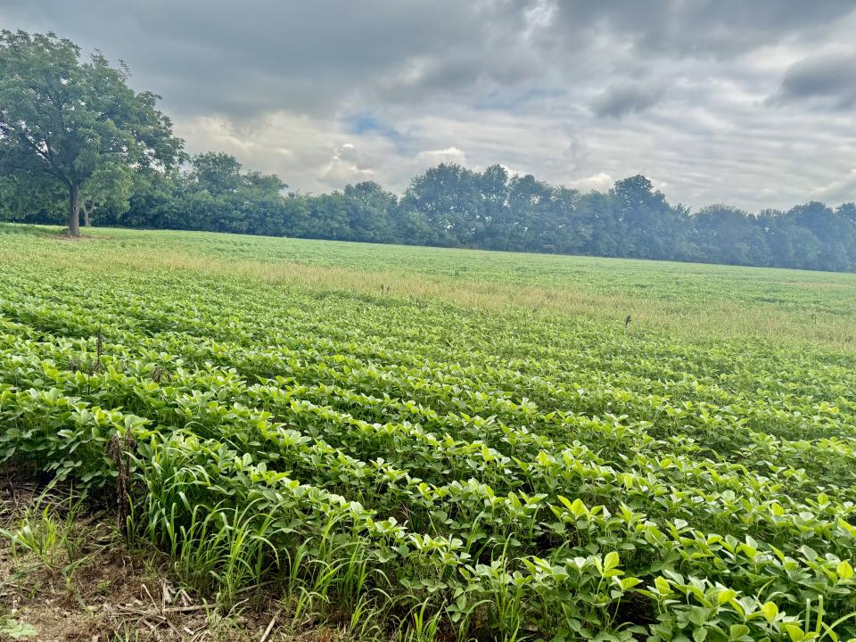 3103 Armstrong Rd, Union City, Tennessee 38261