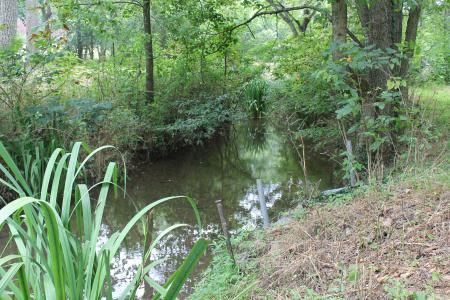 1721 Matney Hollow Road, Seymour, Missouri 65746, Estados Unidos