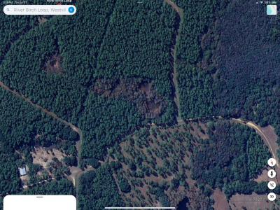 River Birch Loop, Westville, פלורידה 32464, ארצות הברית של אמריקה 