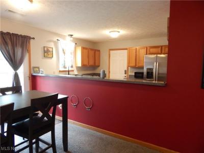 173 Brace Avenue, Elyria, Ohio 44035