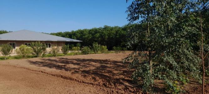 Osterwick , Loma Plata, Boquerón 00001, Paragwaj