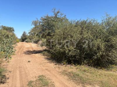 Buehurocahui Sindicatura Central de Mochicahui,, El Fuerte, 錫那羅亞 81890, 墨西哥