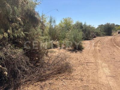 Buehurocahui Sindicatura Central de Mochicahui,, El Fuerte, 錫那羅亞 81890, 墨西哥