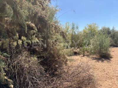 Buehurocahui Sindicatura Central de Mochicahui,, El Fuerte, 錫那羅亞 81890, 墨西哥