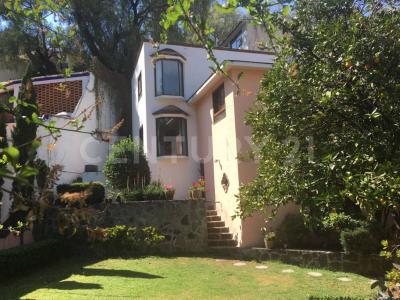 Privada de la Noria 19,, Xochimilco, Ciudad De México 16030, Mexique