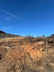 RUTA DEL VINO/ MEXICO 0,, Tecate, Baja California 21530, Mexico