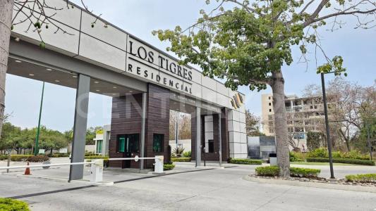 Ciprés 154,, Bahía De Banderas, Nayarit 63732, México