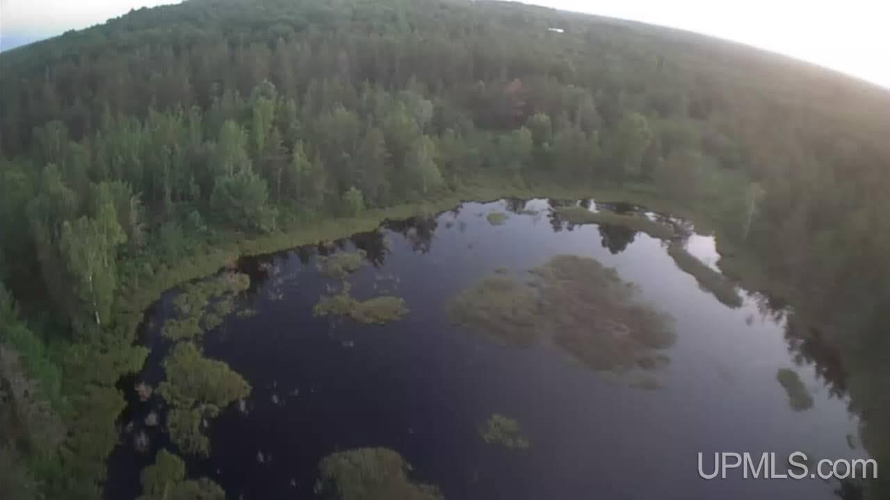 1591 E Millyard, Gwinn, מישיגן 49841, ארצות הברית של אמריקה 