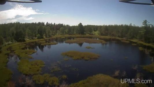 1591 E Millyard, Gwinn, מישיגן 49841, ארצות הברית של אמריקה 