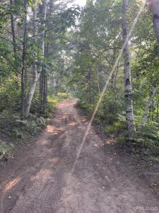 1591 E Millyard, Gwinn, מישיגן 49841, ארצות הברית של אמריקה 