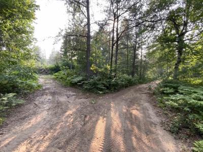 1591 E Millyard, Gwinn, מישיגן 49841, ארצות הברית של אמריקה 